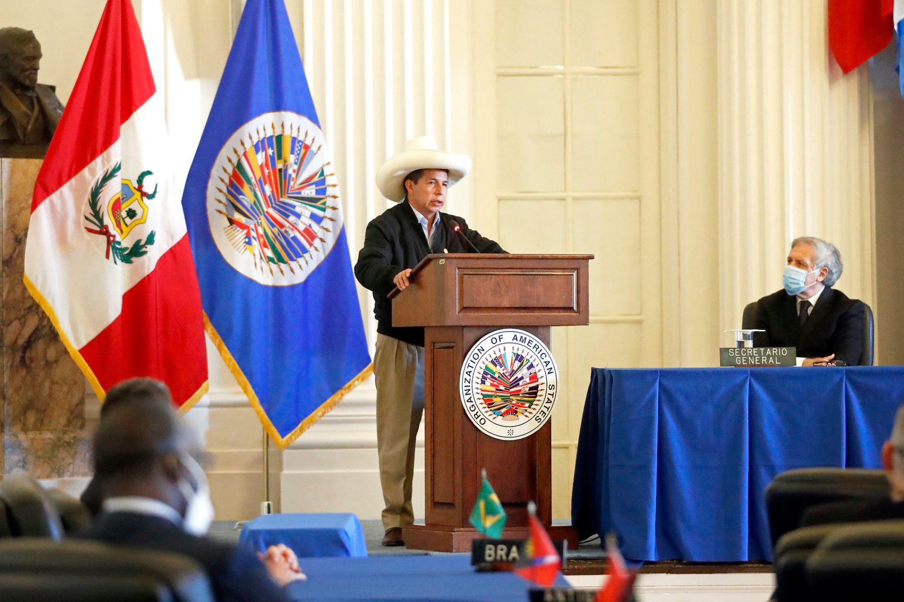 Presidente de la República Pedro Castillo participa en la sesión permanente de la OEA. Foto: ANDINA/ Prensa Presidencia
