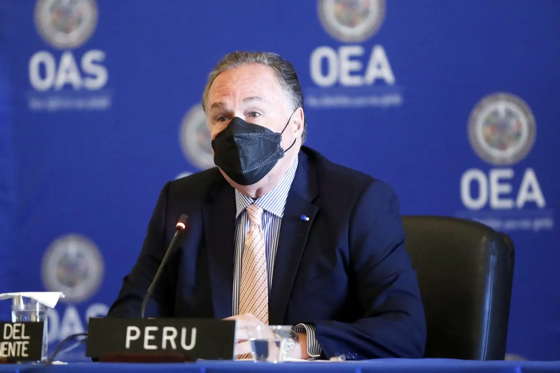 Foto: ANDINA/Prensa Presidencia.