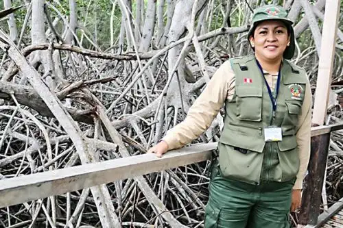 Jefa del Santuario Nacional Los Manglares de Tumbes, Rosa Liliana García García.