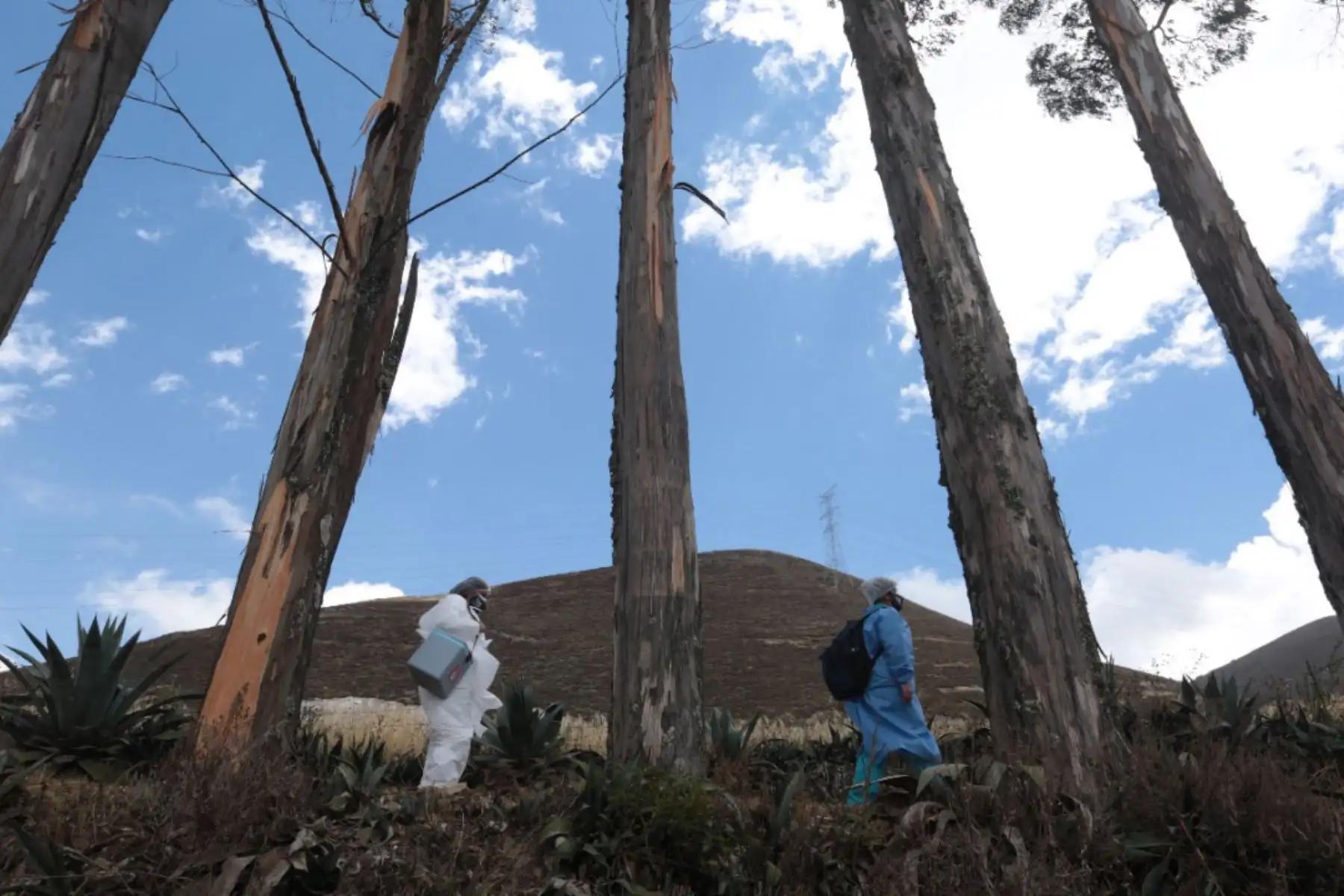 Pobladores de diversas provincias de Cajamarca reciben la vacuna contra la covid-19. Foto: ANDINA/Difusión