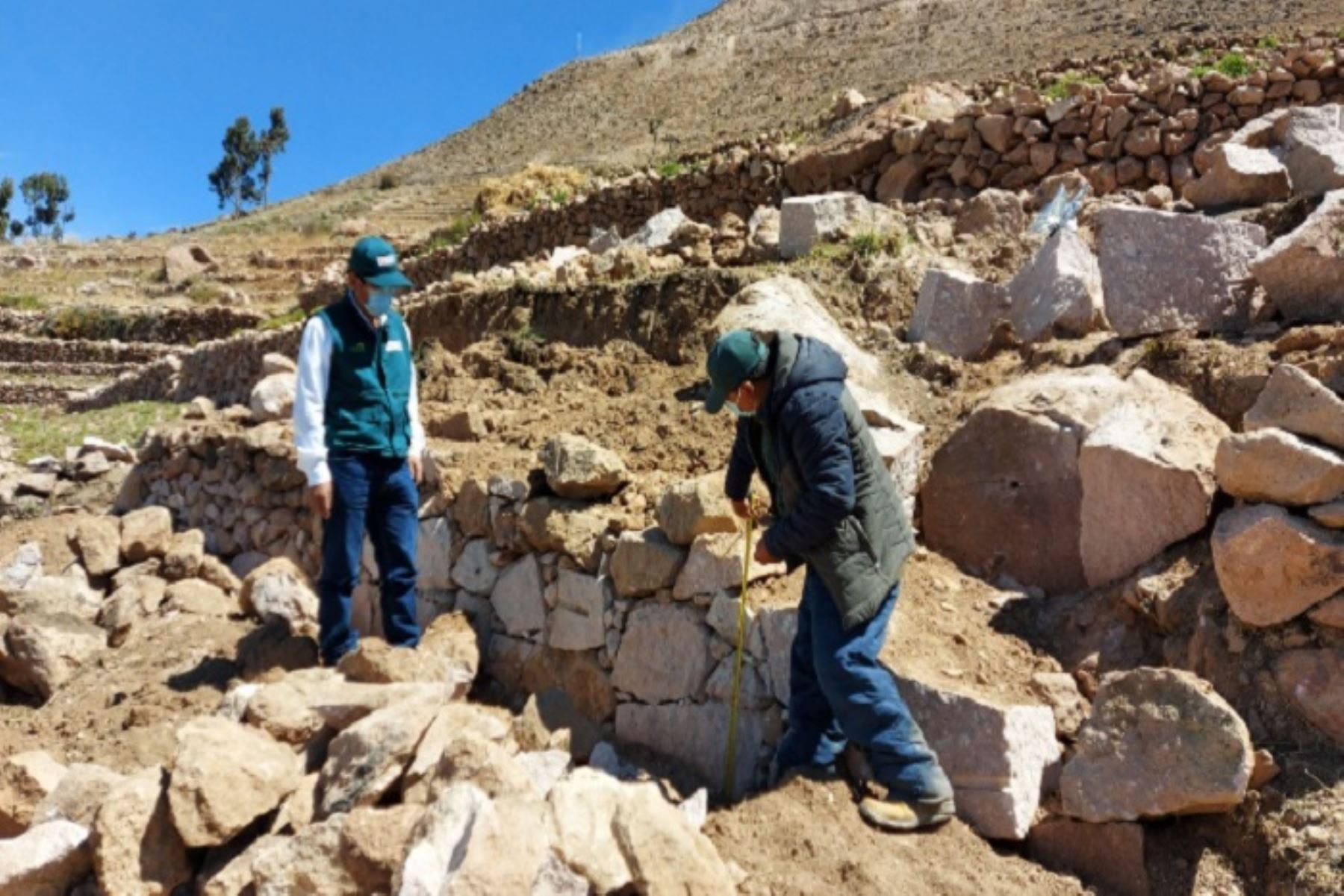 Tacna: rehabilitan andenes para convertirlos en suelos agrícolas de alta productividad