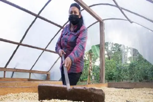 El Midagri, a través de Agroideas ha aprobado un total de 112 Planes de Negocio en la región San Martín.