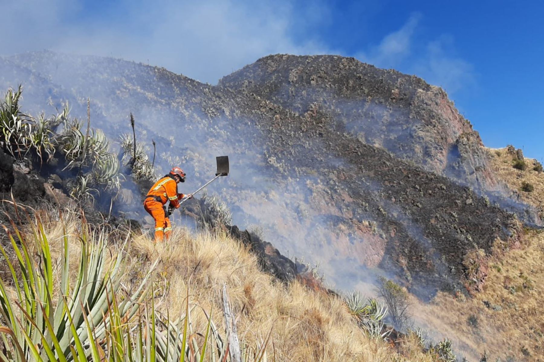 Cuatro incendios forestales registrados en la región Cusco fueron extinguidos tras denodados esfuerzos. Foto: ANDINA/Difusión