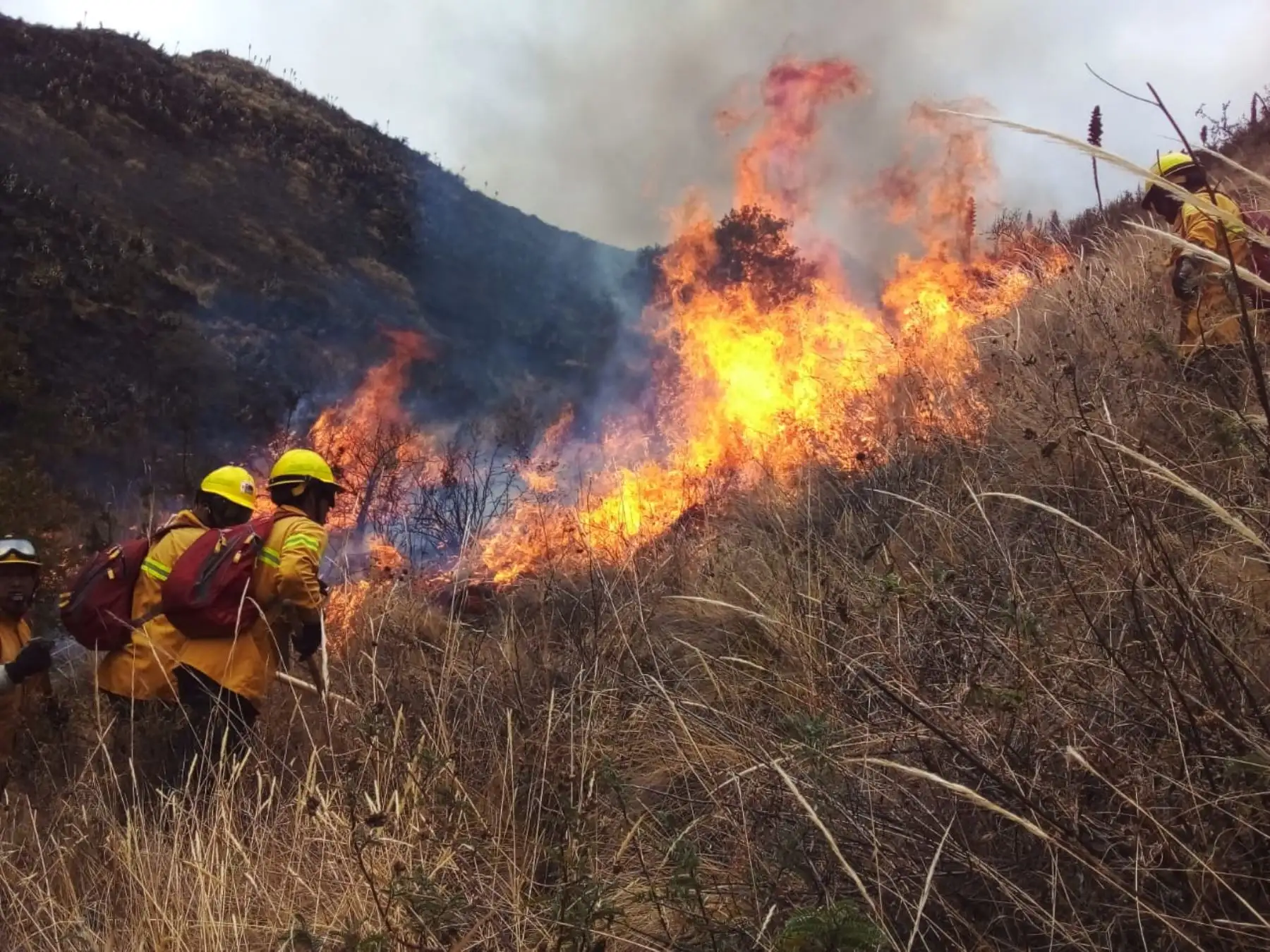En agosto último, en Cusco se tuvieron 111 emergencias, 17 en Arequipa, 21 en Moquegua y 26 en Huancayo (Junín). Foto: ANDINA/difusión.