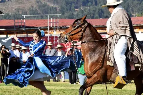 La tradicional Feria Agropecuaria, Agroindustrial, Artesanal y Turística, que se desarrolla en Fiestas Patrias, este año se llevará a cabo del 7 al 10 de octubre. Foto: ANDINA/Difusión