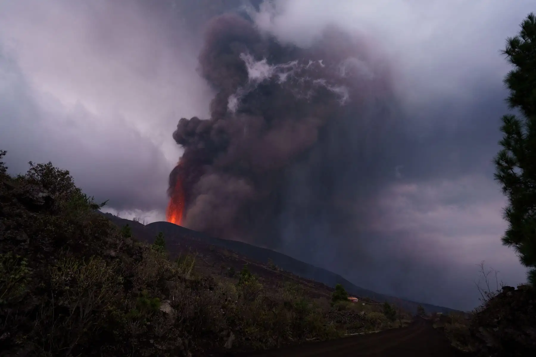 El volcán de La Palma cumple su cuarto día de erupción, con más de 5.000 vecinos desalojados de sus casas y graves daños en viviendas e infraestructuras de tres municipios. Foto: EFE
