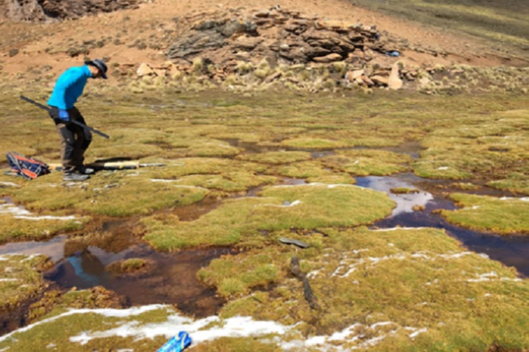Para las investigaciones se tomaron muestras de sedimentos de este tipo de humedales en la cordillera Vilcanota, en Cusco.