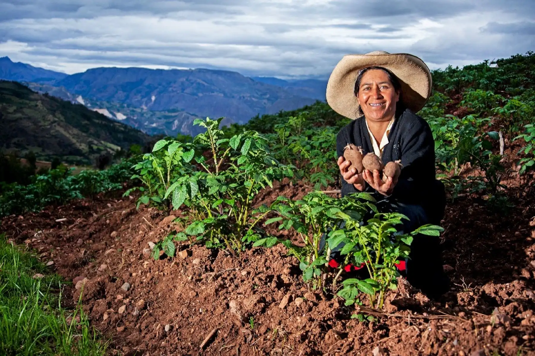 Foto: ANDINA/difusión.
