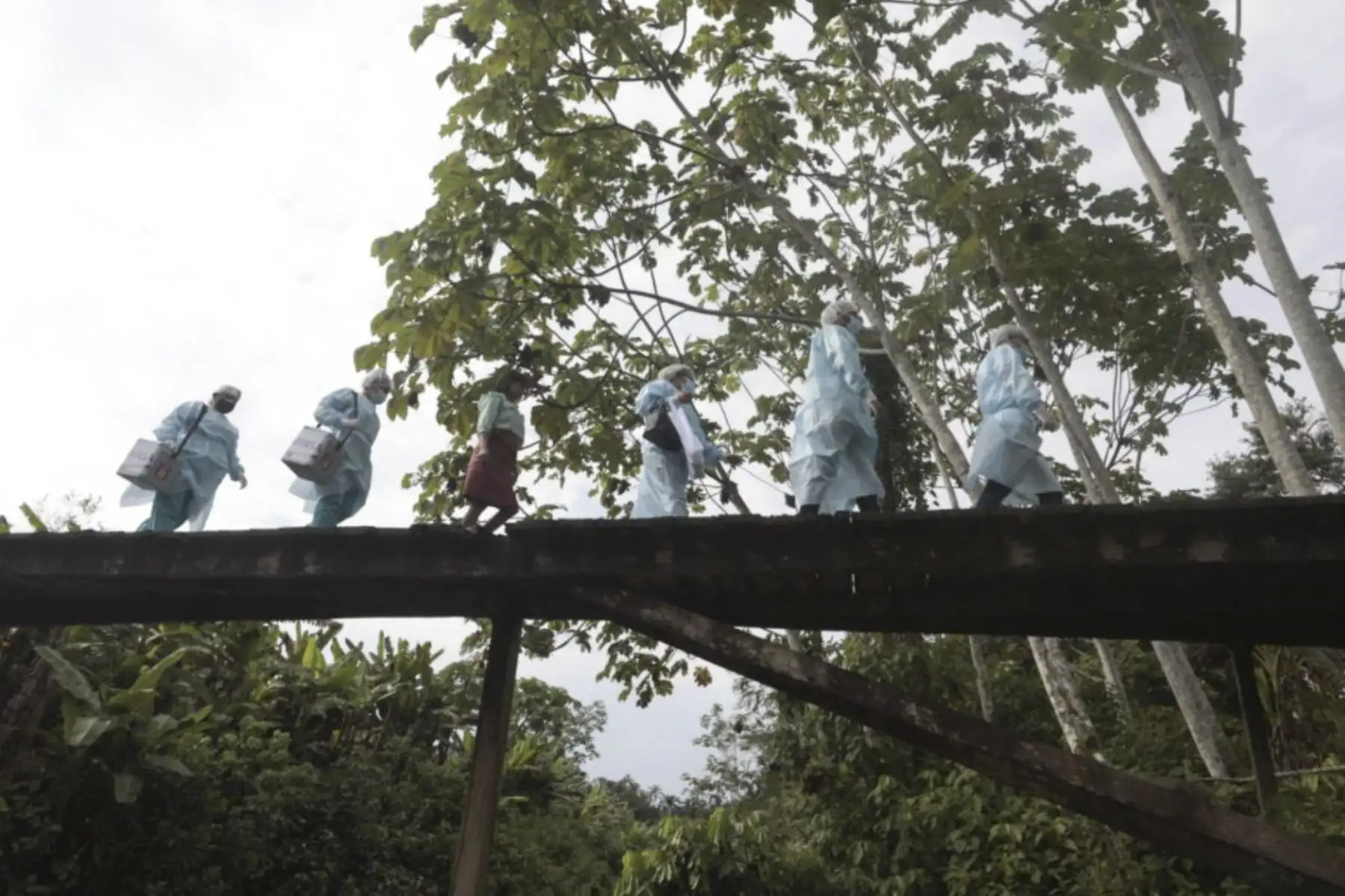 Brigadas de vacunación llegaron a la etnia Shawi, en el Alto Amazonas, para continuar inmunizando contra la covid-19 a la población de las zonas más alejadas del país. Foto: ANDINA/Minsa