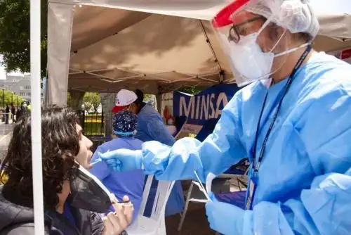 Minsa cuenta con 53,000 potenciales donantes de médula ósea. Foto: ANDINA/Difusión.