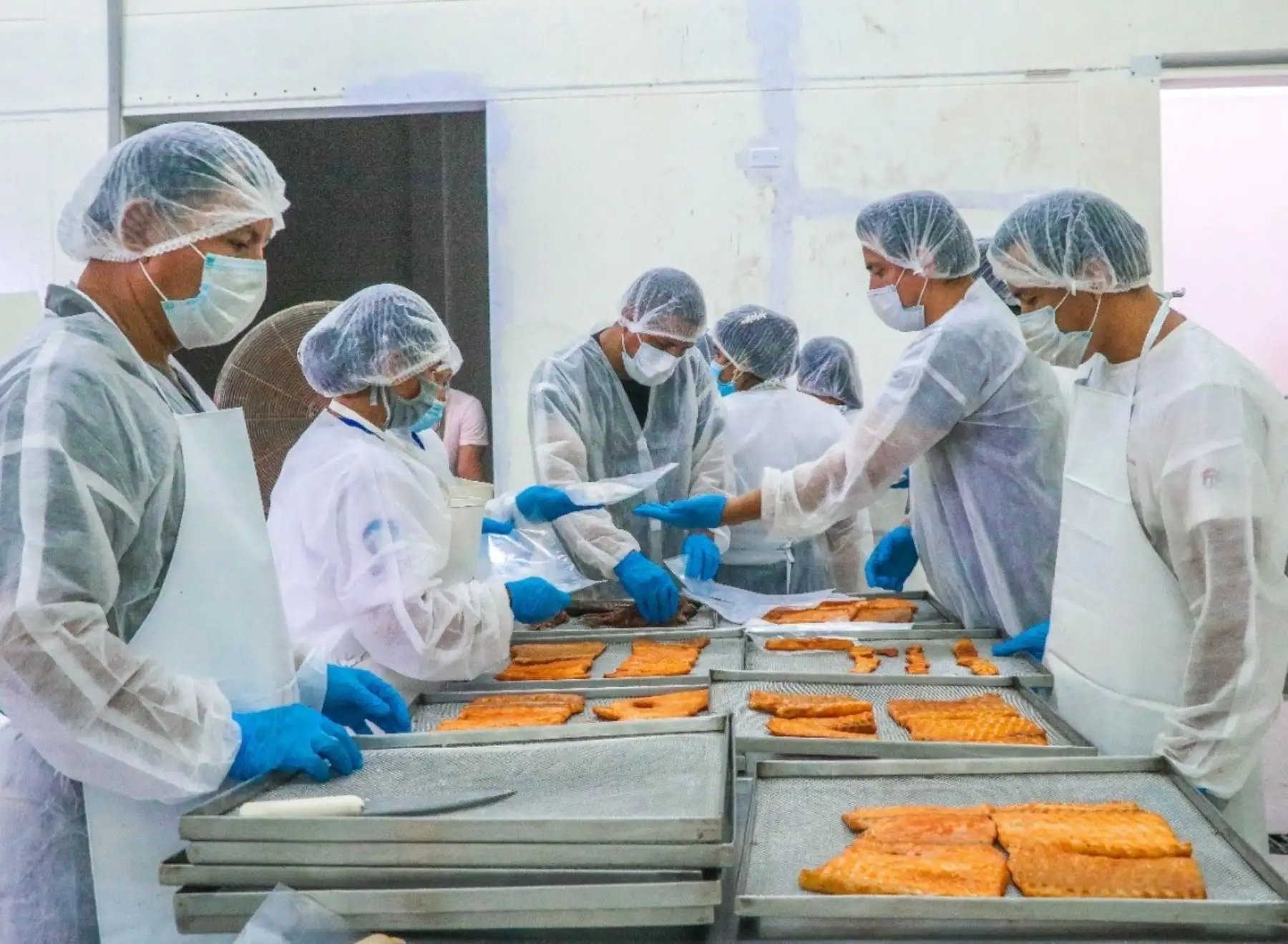 Pescadores artesanales de Ucayali aprenden a elaborar innovadores hamburguesas y otros embutidos a base de peces amazónicos. ​ANDINA/Difusió
