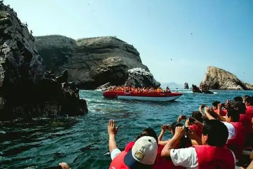 Foto: ANDINA/Difusión.
