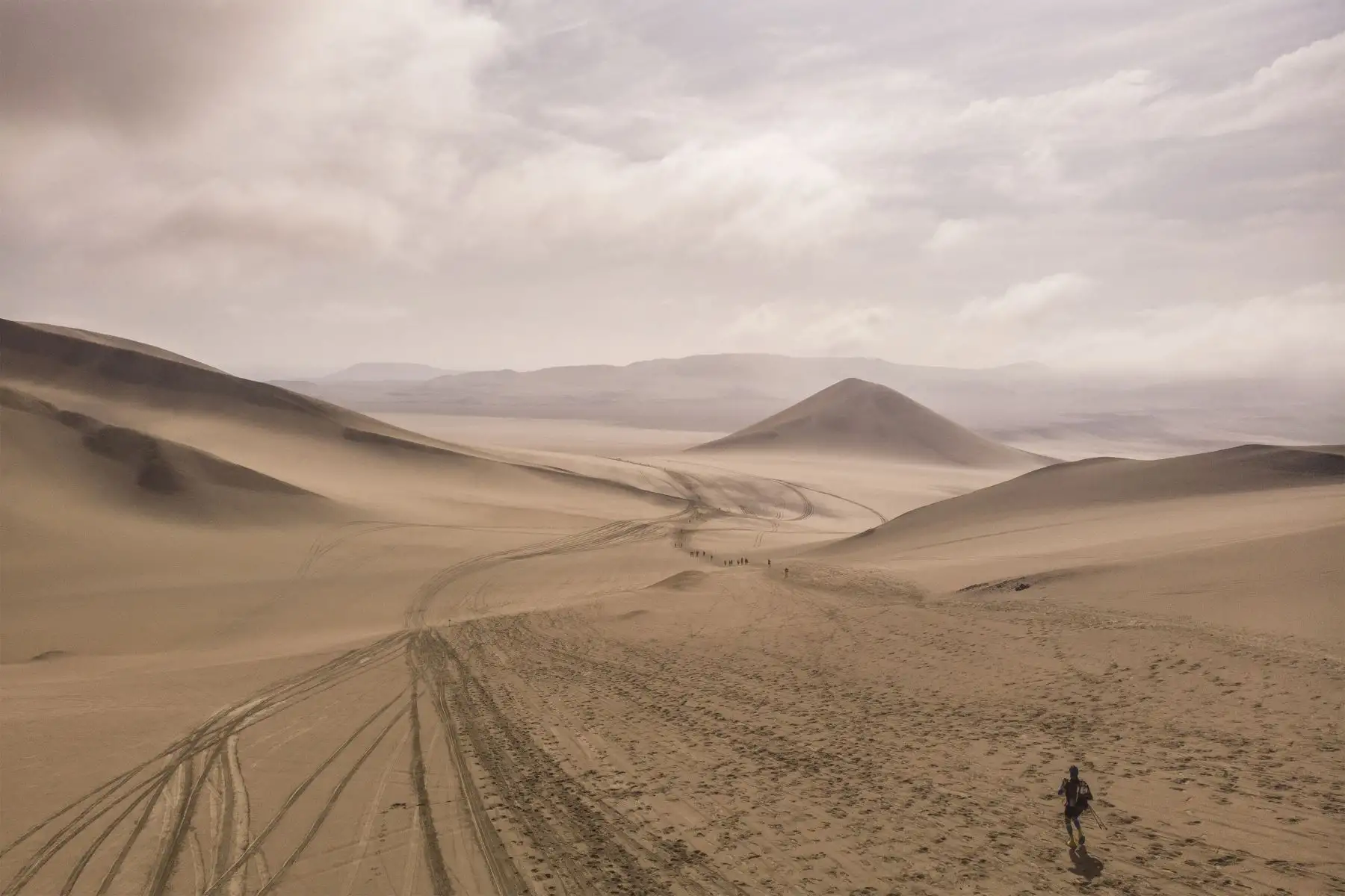 Visitar la Reserva Nacional de Paracas y navegar por las islas Ballestas es conocer uno de los más icónicos ecosistemas marino-costeros del Perú.
Foto: AFP