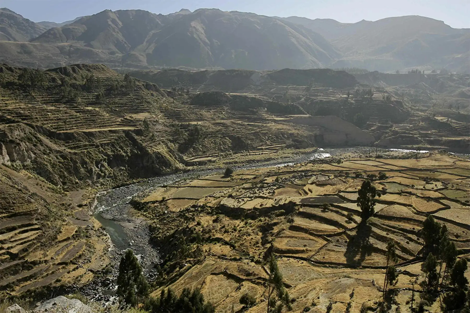 Cañón del Colca, ubicado en la provincia arequipeña de Caylloma, y considerado el segundo más profundo del planeta.
Foto: EFE