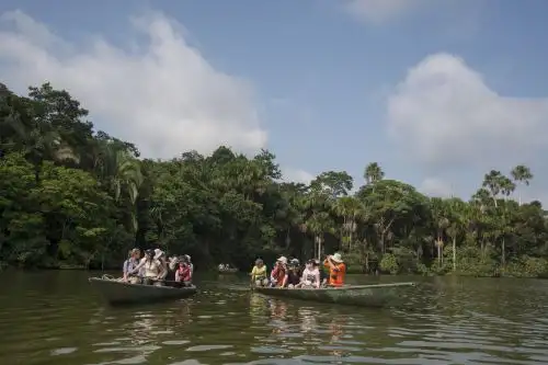 La celebración del Mes Turístico de Madre de Dios, el departamento amazónico más austral del Perú es el aliciente ideal para visitar o retornar a este fascinante destino que nos recibe con enorme hospitalidad para disfrutar de sus atractivos liderados por la Reserva Nacional Tambopata y el Parque Nacional del Manu, que son auténticas sucursales del paraíso y albergan la mayor biodiversidad del planeta. ANDINA/Difusión