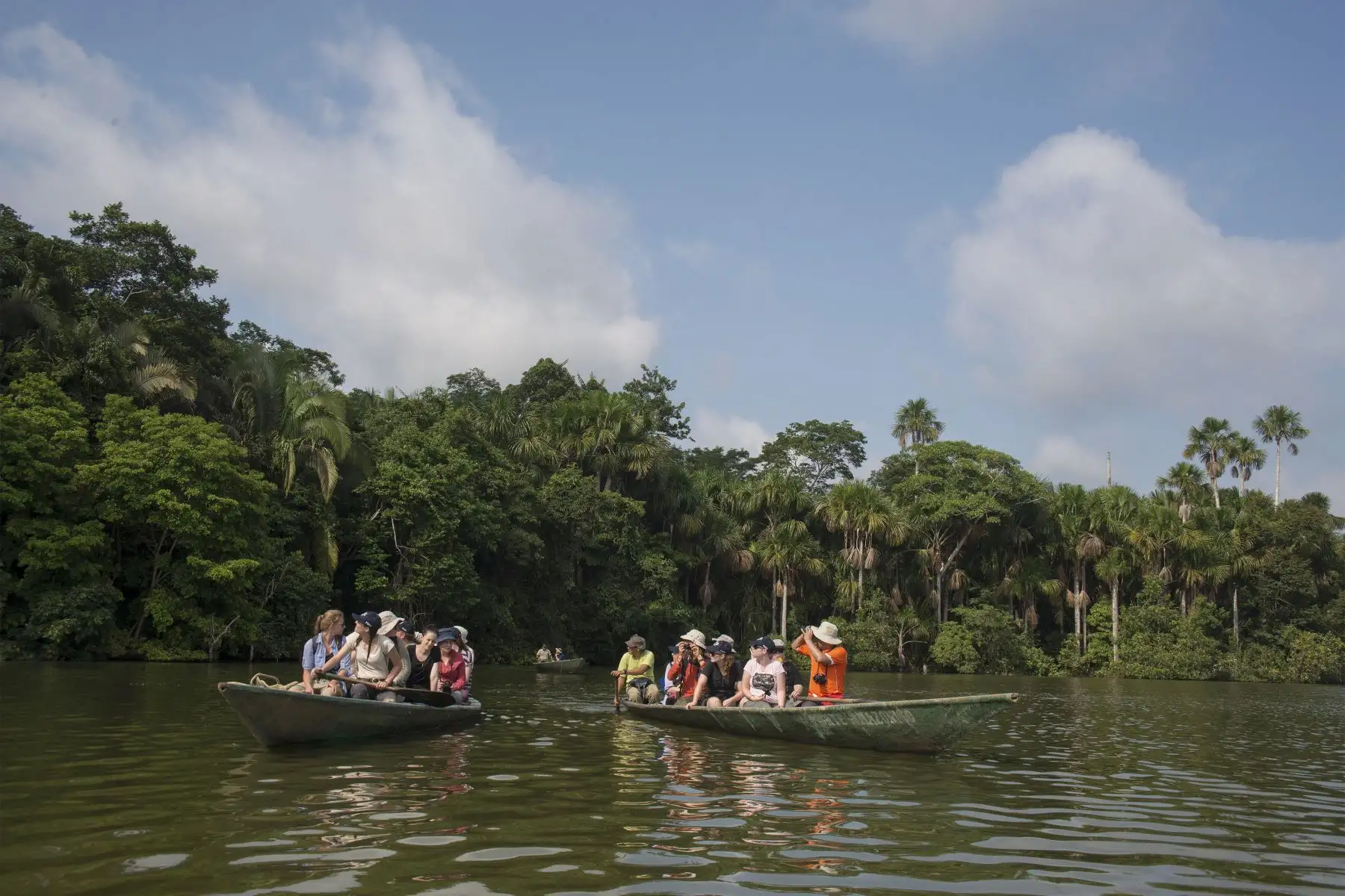La celebración del Mes Turístico de Madre de Dios, el departamento amazónico más austral del Perú es el aliciente ideal para visitar o retornar a este fascinante destino que nos recibe con enorme hospitalidad para disfrutar de sus atractivos liderados por la Reserva Nacional Tambopata y el Parque Nacional del Manu, que son auténticas sucursales del paraíso y albergan la mayor biodiversidad del planeta. ANDINA/Difusión