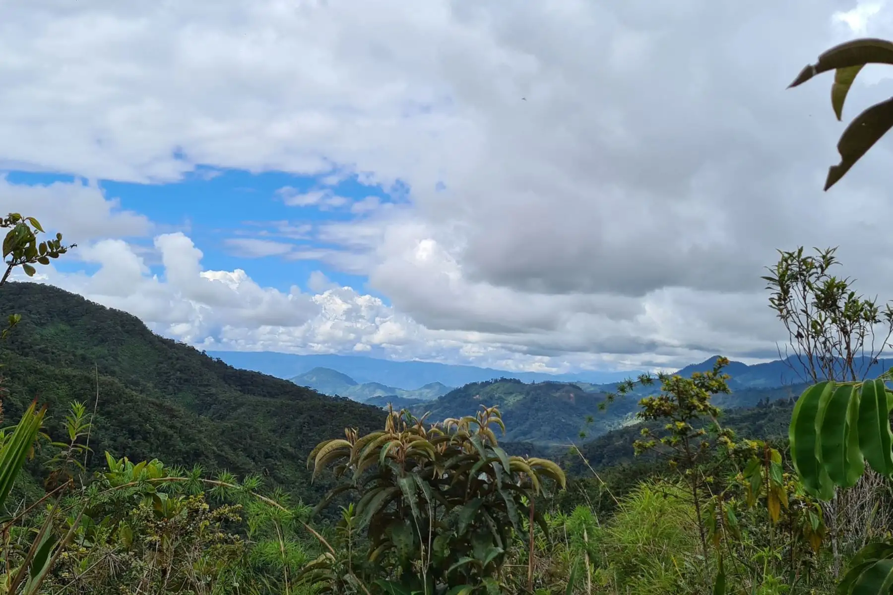 El paraje Capiro Llaylla, ubicado en el distrito de Llaylla, es la tercera área de conservación privada de la región Junín. Foto: ANDINA/Difusión