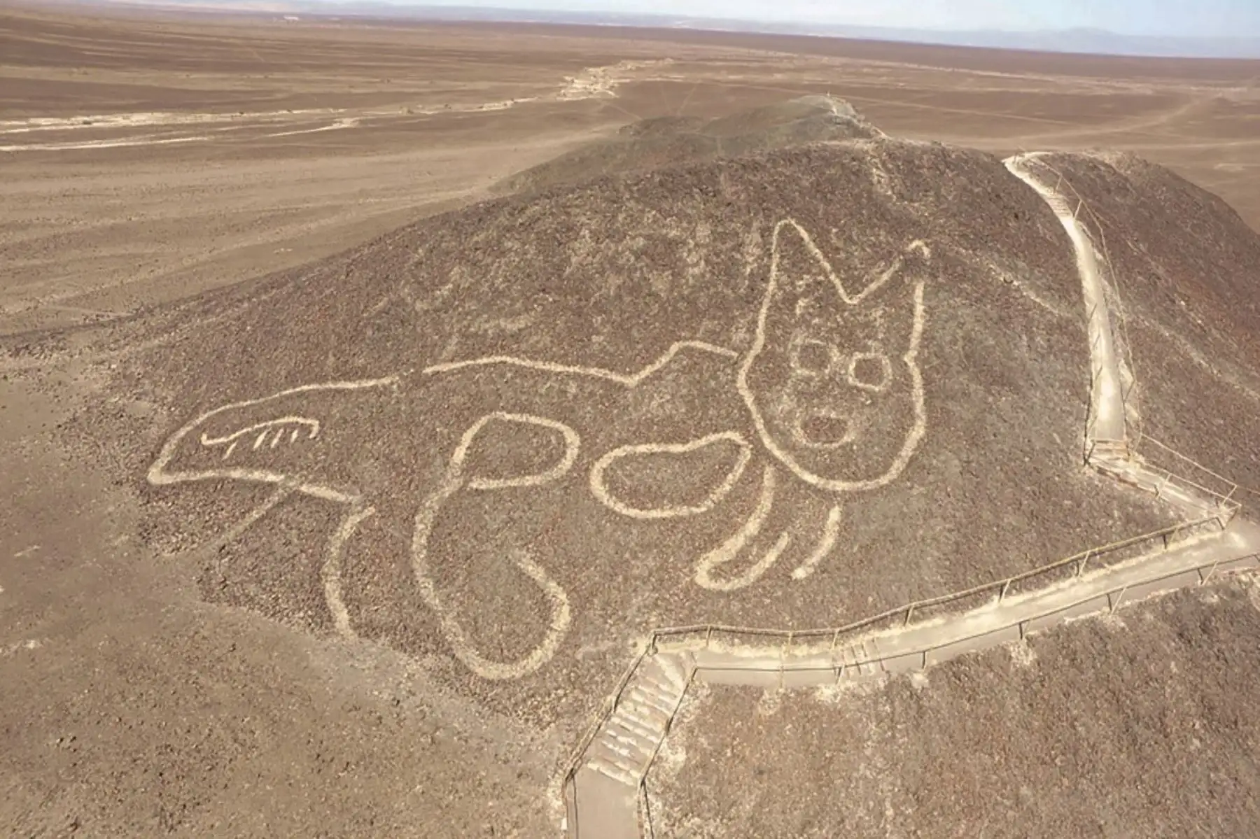 Vista aérea de un conjunto de geoglifos de las líneas de la cultura Nasca. Un grupo de arqueólogos encabezados por el italiano Giuseppe Orefici realizan labores de recuperación en Cahuachi, centro ceremonial y capital de dicha cultura Nasca, 
Foto: AFP