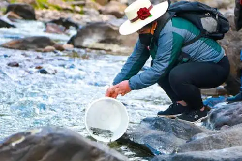 Se sembraron alevines de trucha en lagunas y ríos de las provincias de Sucre y Vilcas Huamán, región Ayacucho, para beneficiar a las familias que viven en situaciones extremas. Foto: ANDINA/Difusión