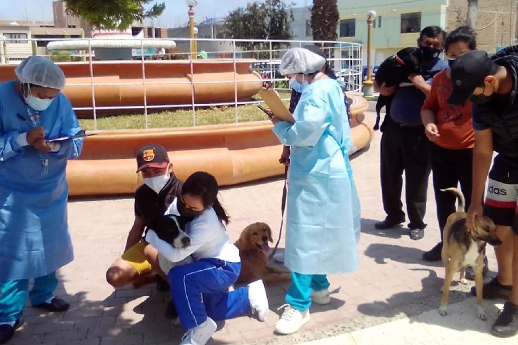 Gerencia Regional de Salud (Geresa) impulsa campaña de vacunación canina en Lambayeque. Foto: ANDINA/Difusión