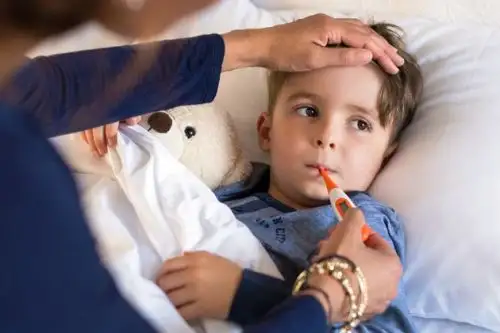 Influenza: cinco datos que debes conocer para prevenir el virus. Foto: ANDINA/Difusión.
