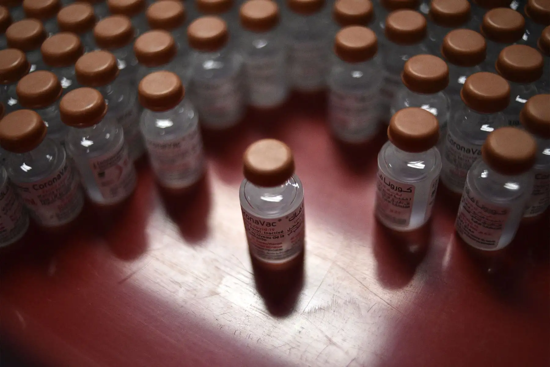 Esta imagen muestra viales de la vacuna Sinovac (CoronaVac) Covid-19 desarrollada en China, producida localmente por la compañía farmacéutica argelina Saidal, en la ciudad de Constantine, en el noreste de Argelia.
Foto: AFP