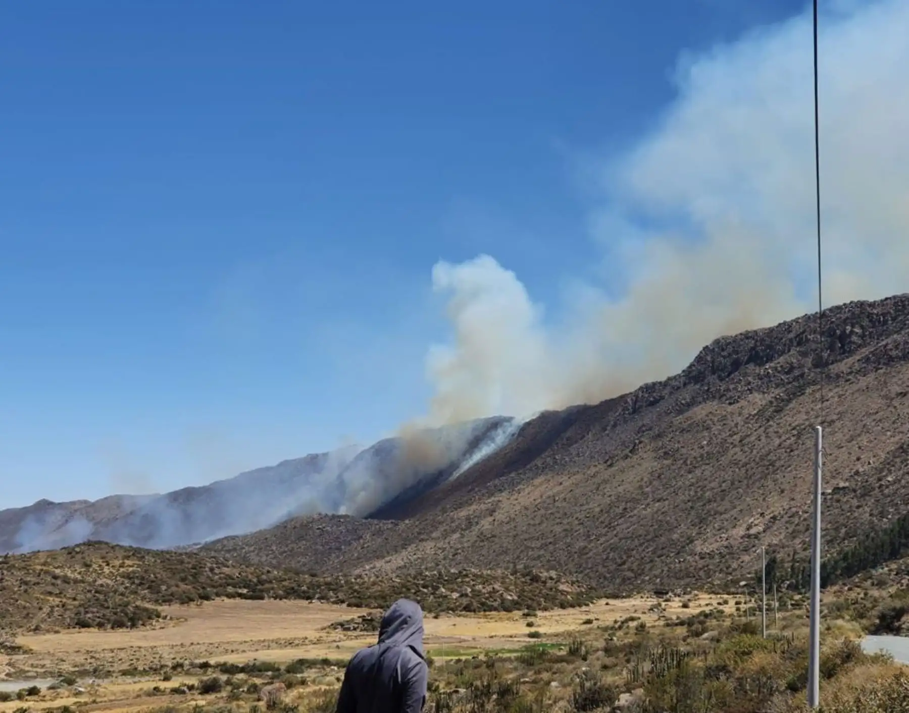 Tres incendios forestales arrasaron con 180 hectáreas de pastizales en Arequipa. Foto: ANDINA/Difusión.