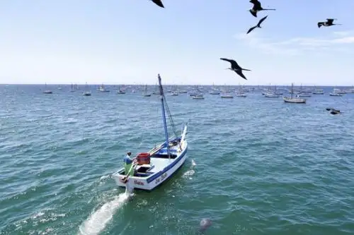 El mar peruano no solo es biodiverso, sino también muy productivo. Foto: ANDINA/Difusión