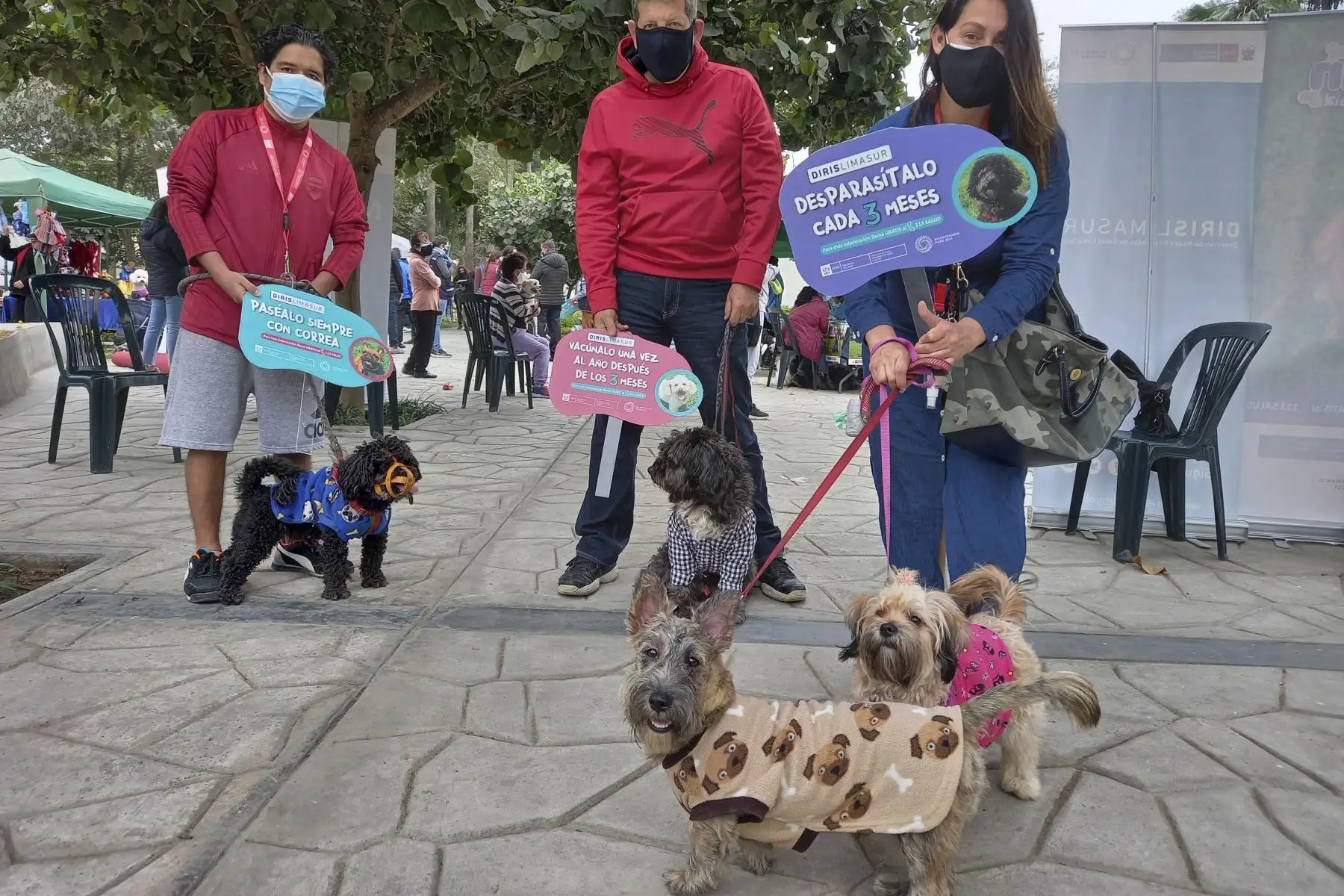 Desde el 01 al 10 de octubre la Diris Lima Sur protegerá contra la rabia a más de 228 mil perros en la campaña antirrábica canina VAN CAN 2021. Para el desarrollo del VAN CAN 2021 la Diris Lima Sur está habilitando 380 puntos de vacunación canina ubicados en los alrededores de los establecimientos de salud, espacios públicos como parques y mercados, además del barrido casa por casa. Foto: Diris Lima Sur
