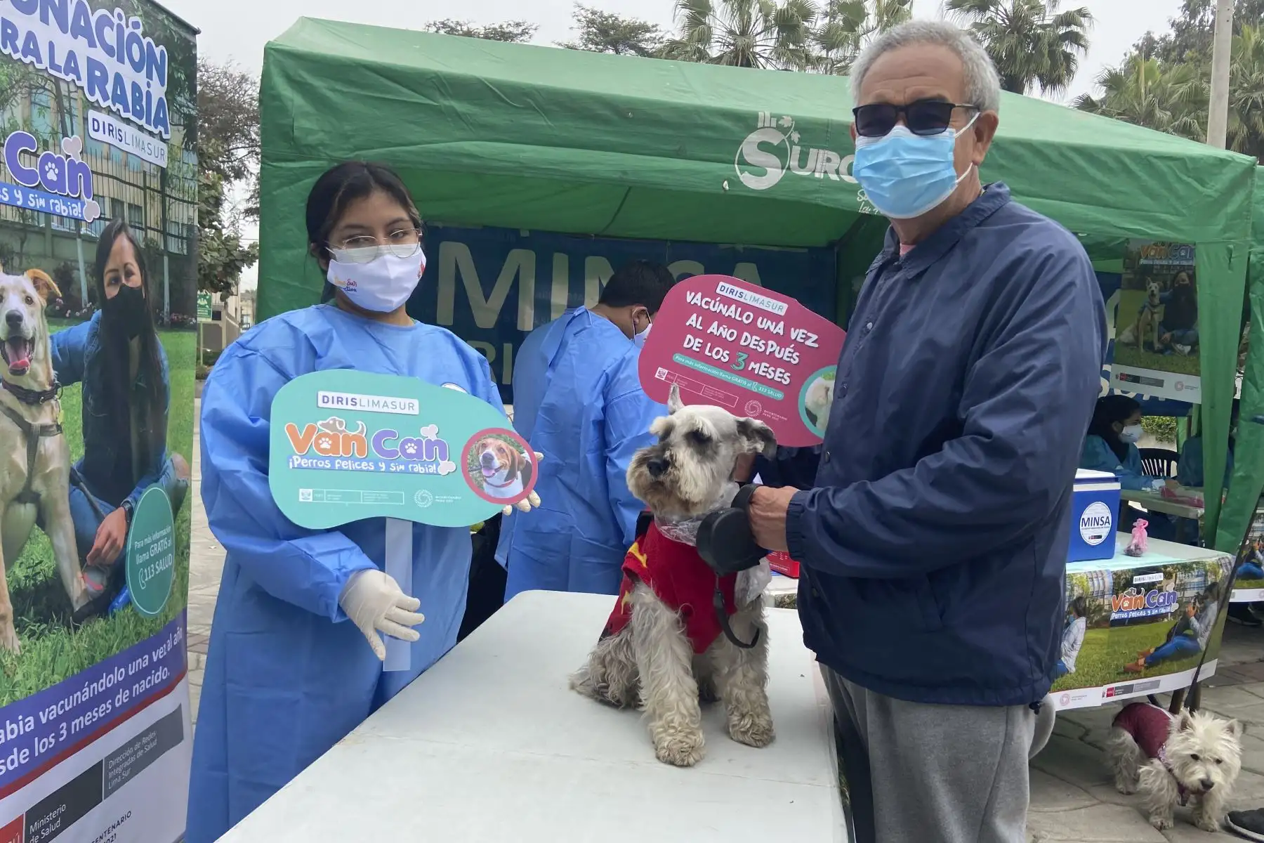 Desde el 01 al 10 de octubre la Diris Lima Sur protegerá contra la rabia a más de 228 mil perros en la campaña antirrábica canina VAN CAN 2021. Para el desarrollo del VAN CAN 2021 la Diris Lima Sur está habilitando 380 puntos de vacunación canina ubicados en los alrededores de los establecimientos de salud, espacios públicos como parques y mercados, además del barrido casa por casa. Foto: Diris Lima Sur