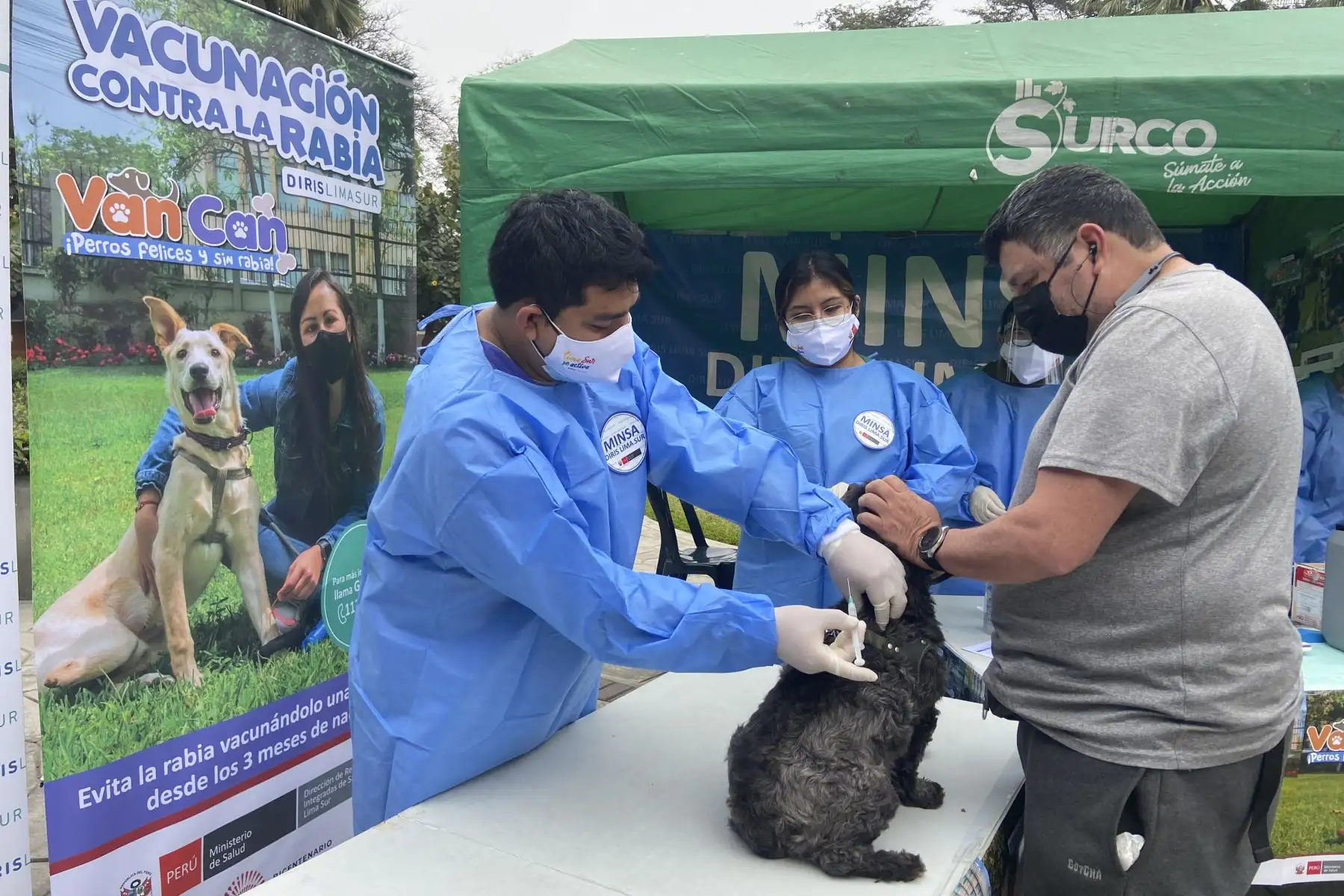 Desde el 01 al 10 de octubre la Diris Lima Sur protegerá contra la rabia a más de 228 mil perros en la campaña antirrábica canina VAN CAN 2021. Para el desarrollo del VAN CAN 2021 la Diris Lima Sur está habilitando 380 puntos de vacunación canina ubicados en los alrededores de los establecimientos de salud, espacios públicos como parques y mercados, además del barrido casa por casa. Foto: Diris Lima Sur