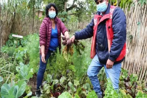Se atenderá a 21,100 nuevos hogares rurales en Amazonas, Áncash, Apurímac, Ayacucho, Cusco, Huánuco, Junín, La Libertad, Loreto, Pasco y Puno.