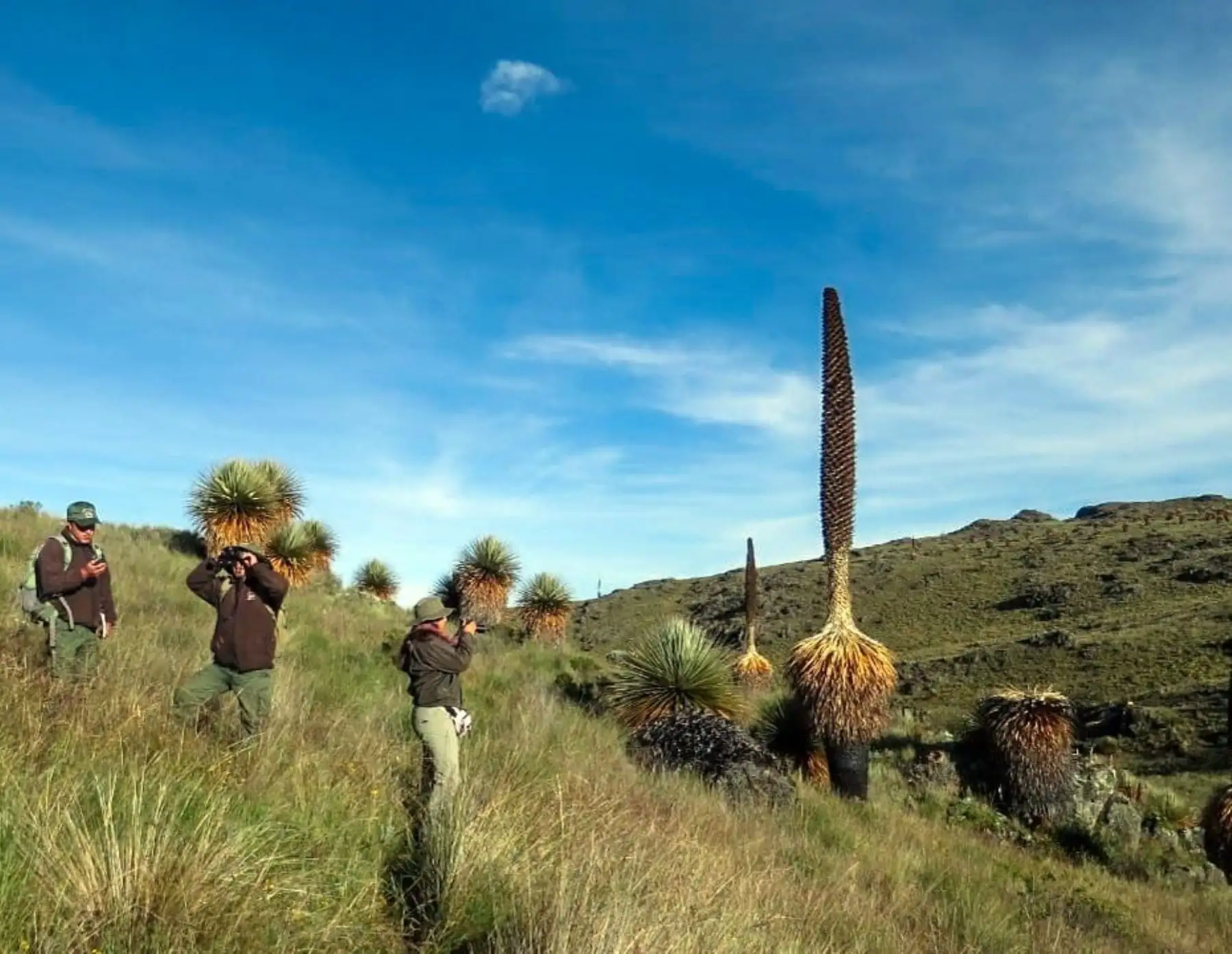 El Santuario Nacional de Calipuy, ubicado en la sierra de La Libertad, obtuvo el sello Safe Travels que lo reconoce como destino seguro ante el covid-19 y el área natural protegida ya puede recibir visitantes. ANDINA/Difusión