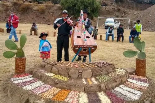 Durante la ceremonia “Muhu kutichiy: el camino de retorno de las semillas”, 85 familias recibieron retribuciones por su contribución en la restauración de diversas especies. Foto: ANDINA/Minam