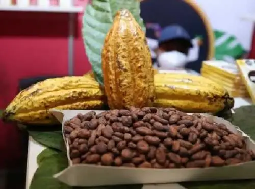 Unen esfuerzos para potenciar los eco y bionegocios en la Amazonía peruana. ANDINA/Difusión