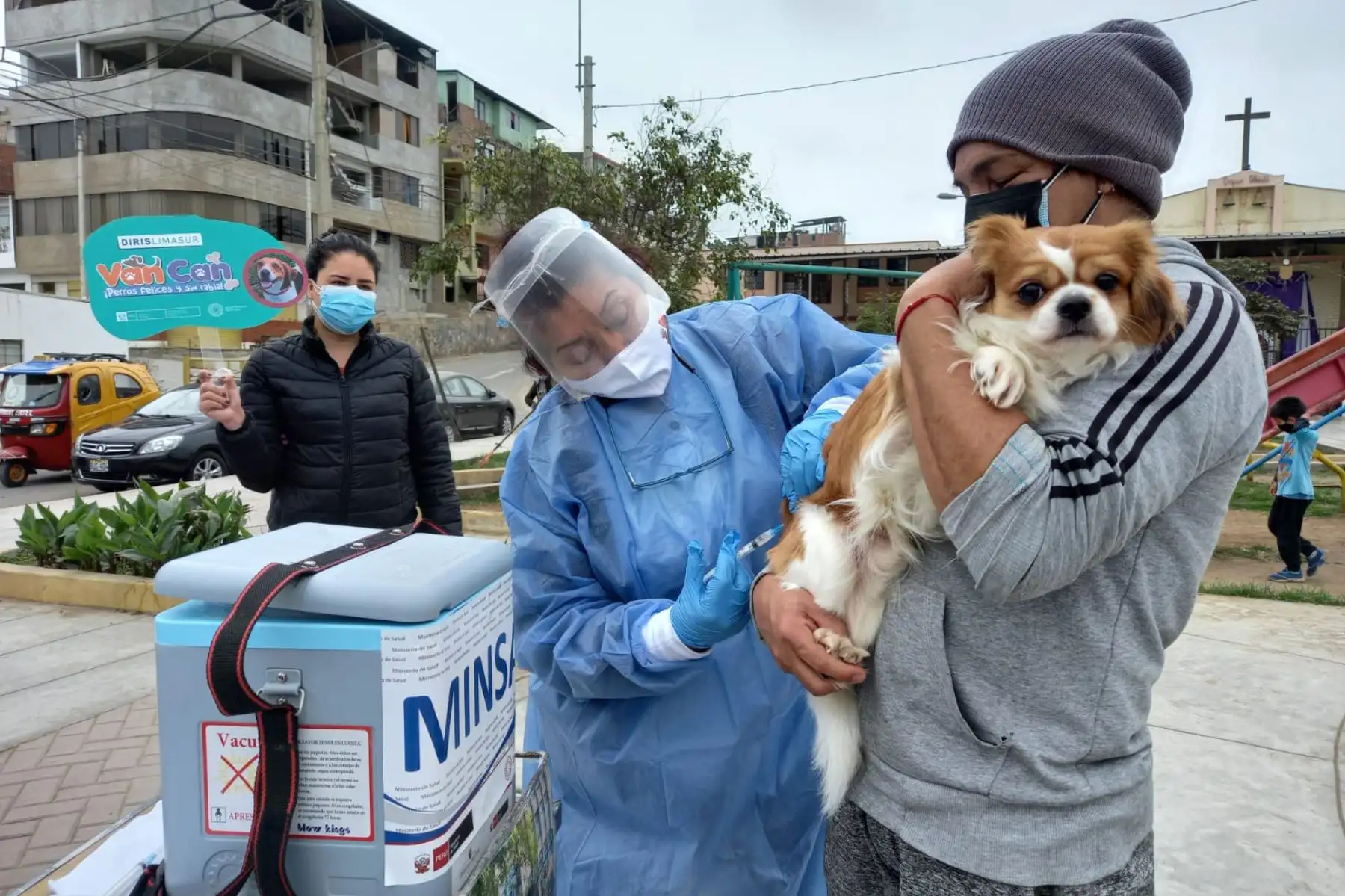 Las brigadas de vacunación canina de la Diris Lima Sur aplicaron dosis contra la rabia a las mascotas de los vecinos de San Juan de Miraflores. Foto: Diris Lima Sur