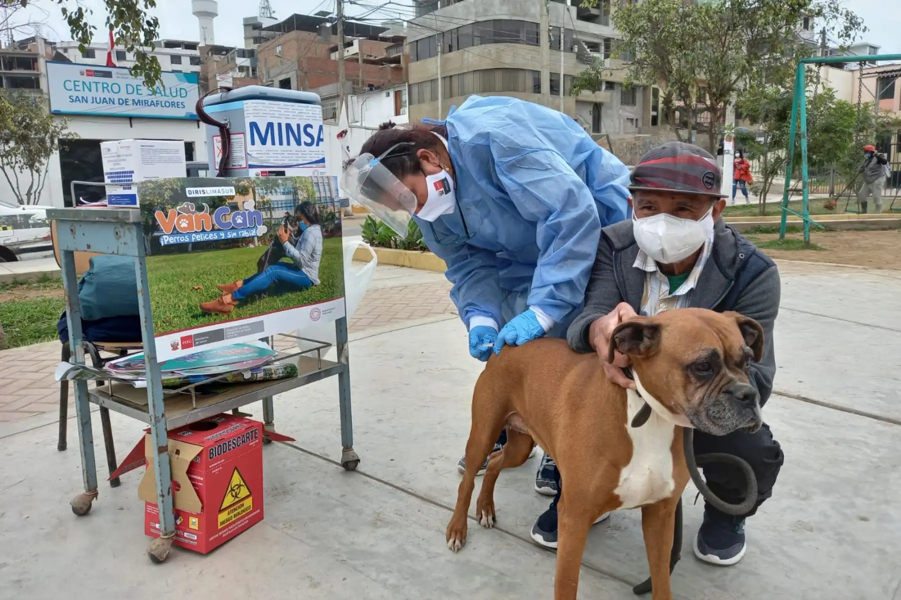 Las brigadas de vacunación canina de la Diris Lima Sur aplicaron dosis contra la rabia a las mascotas de los vecinos de San Juan de Miraflores. Foto: Diris Lima Sur