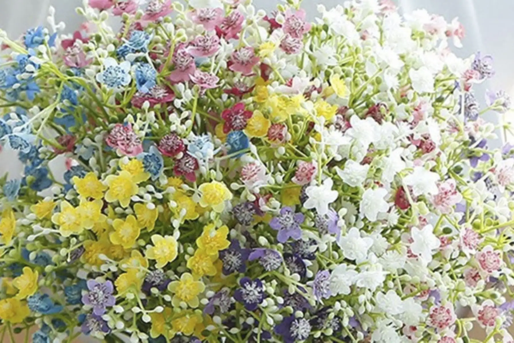 Flores