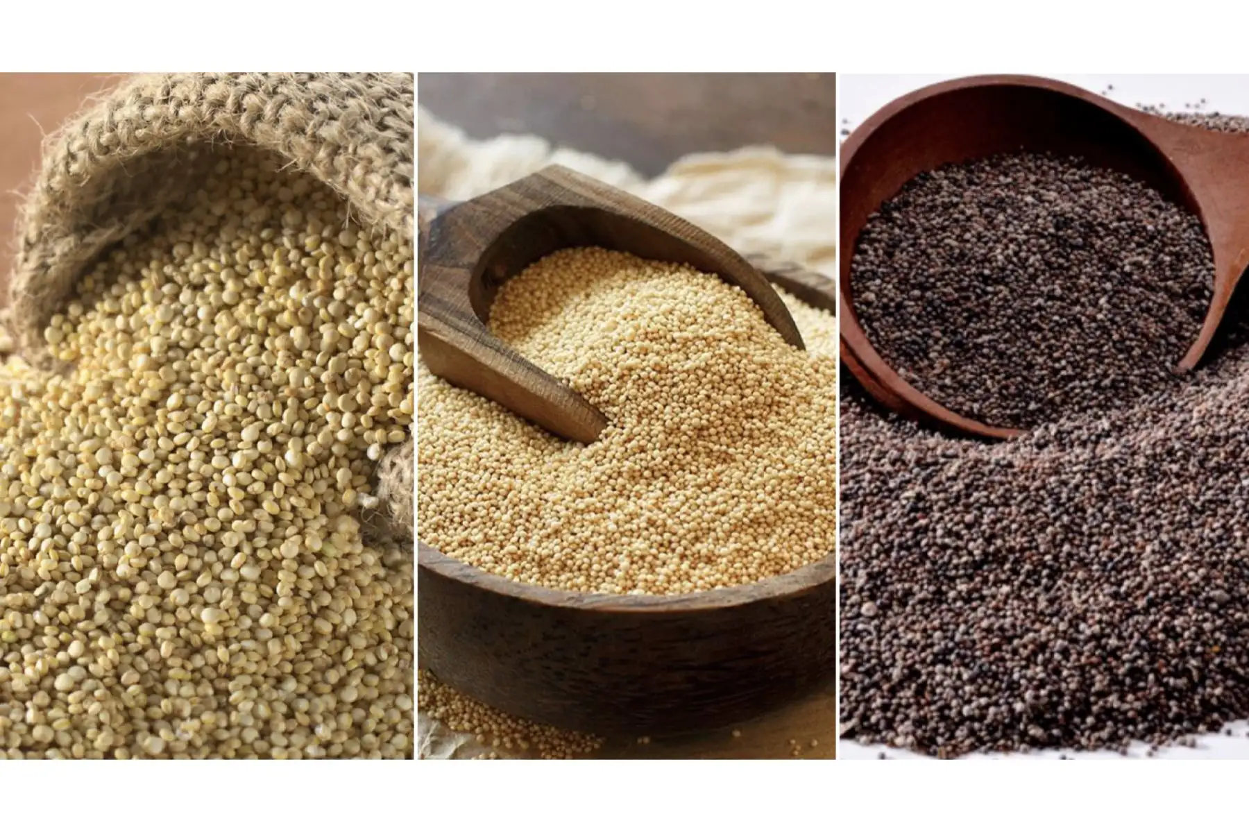 La quinua, kiwicha y cañihua, son granos andinos considerados súper alimentos. ANDINA/Difusión