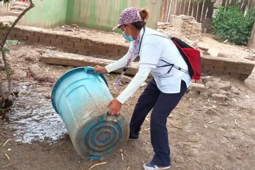 Personal de salud vacía un recipiente de agua por ser posible foco de reproducción del zancudo transmisor del dengue.