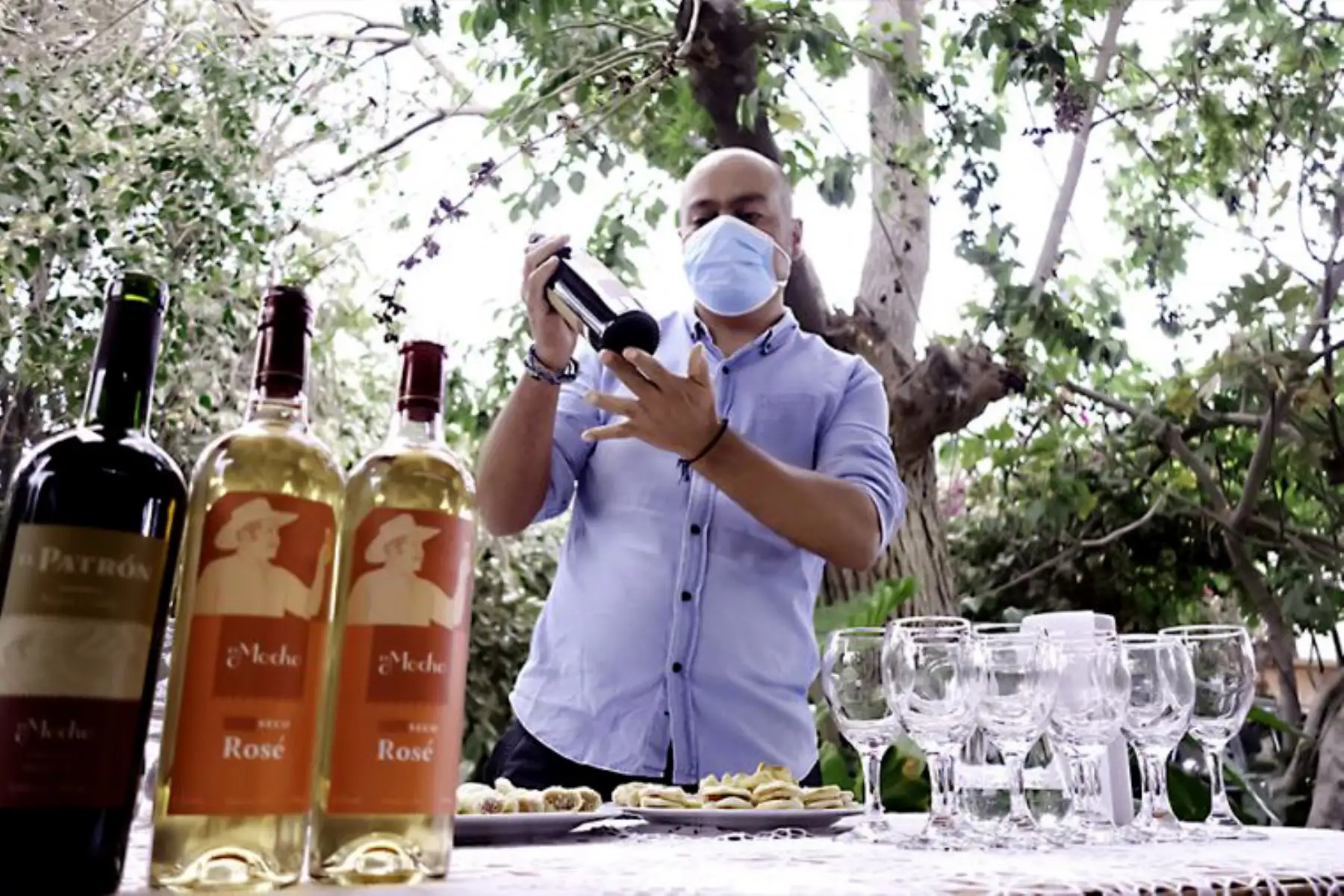 Reservas vitivinícolas, en las que los piscos son codiciados. En sus amplios viñedos destacan las bodegas coloniales, donde podemos apreciar el proceso de destilación y las enormes barricas en que reposa el elíxir de las uvas. Foto: ANDINA/ Daniel Bracamonte