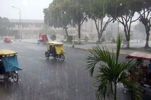Lluvias de moderada a fuerte intensidad ocurrirán en la selva de los departamentos de Amazonas, Cusco, Huánuco, Junín, Loreto, Madre de Dios, Pasco, Puno, San Martín y Ucayali, desde hoy, pronosticó el Senamhi.