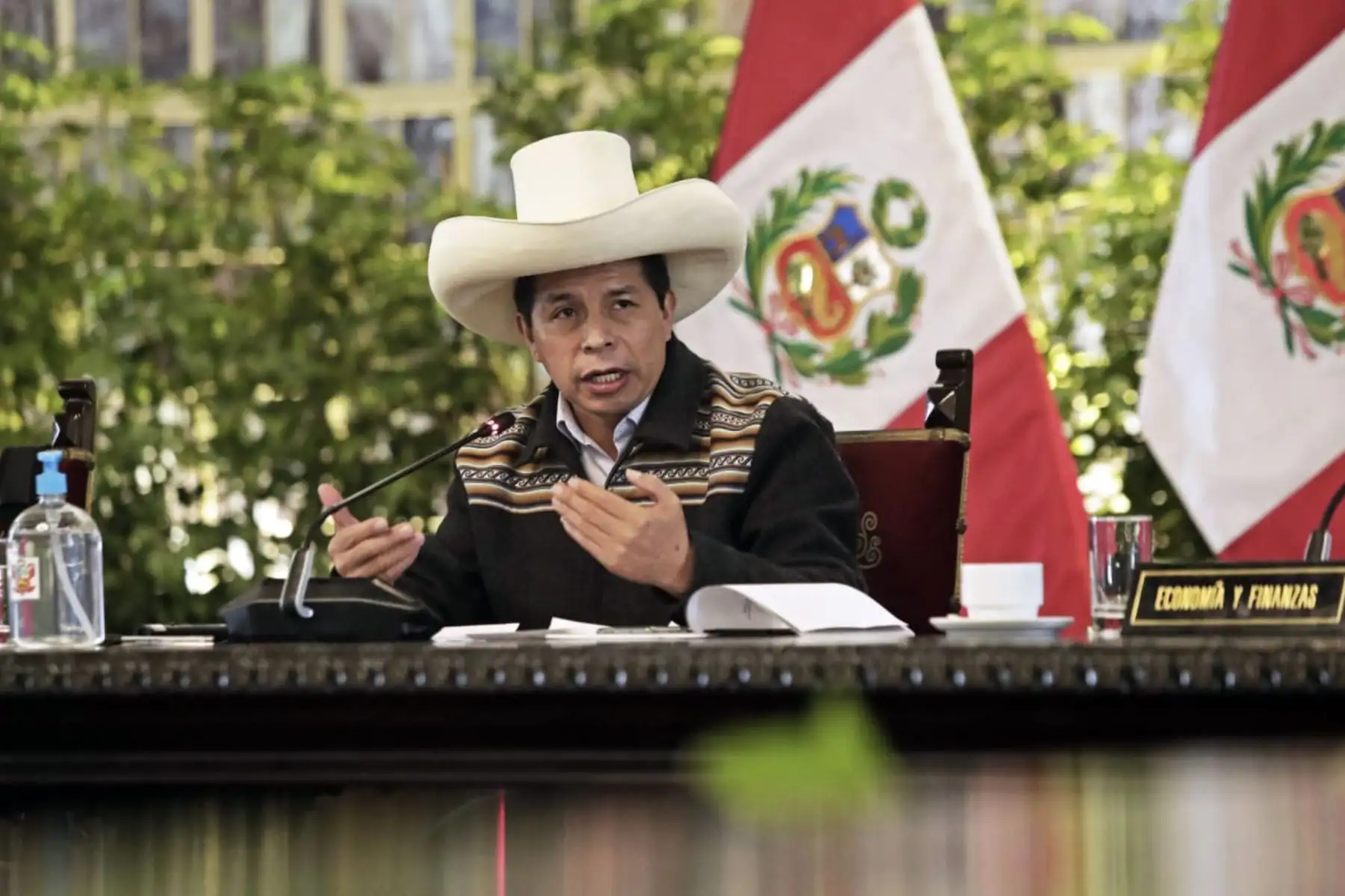 Foto: ANDINA/Prensa Presidencia.