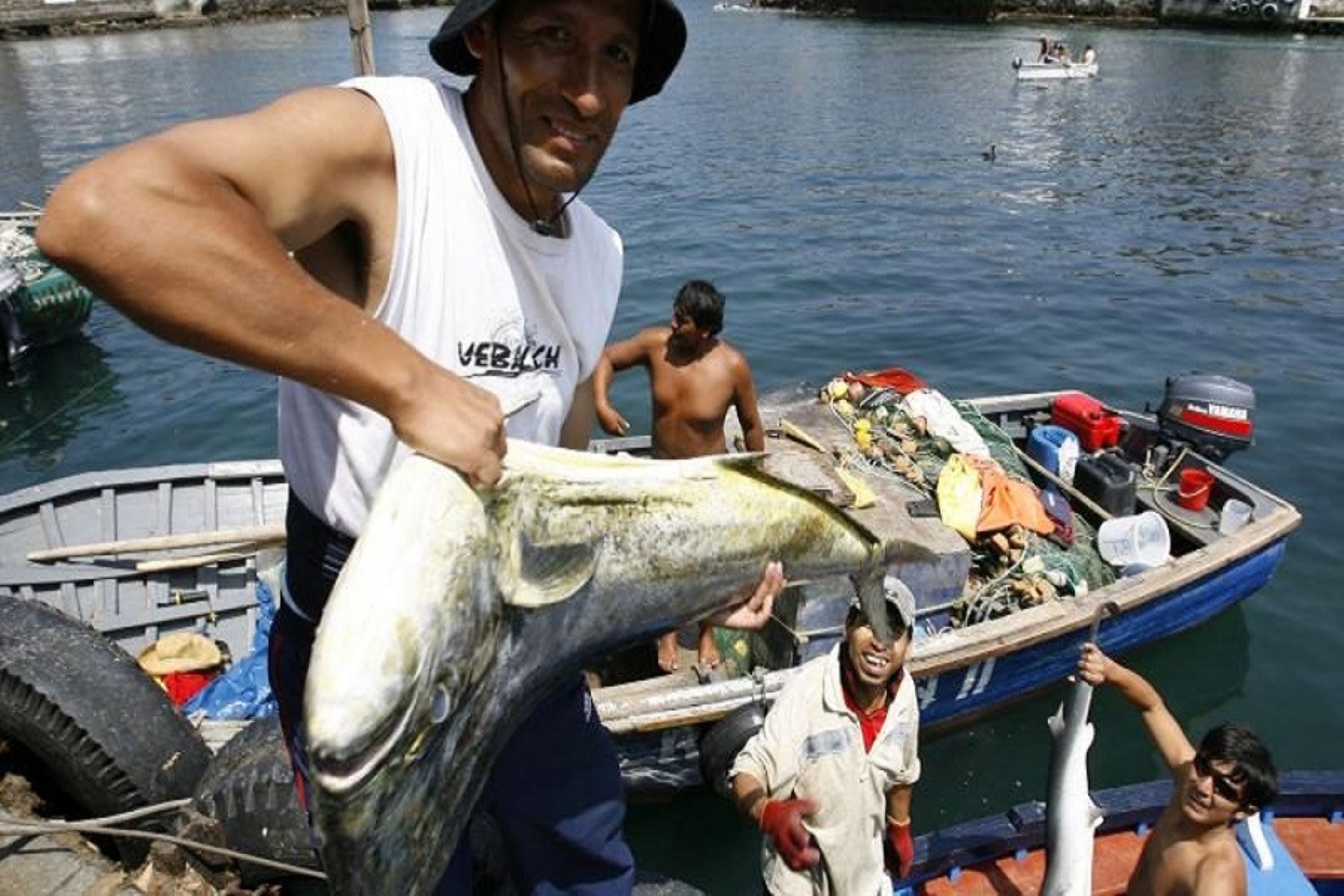 Pesca artesanal. Foto: ANDINA/Difusión