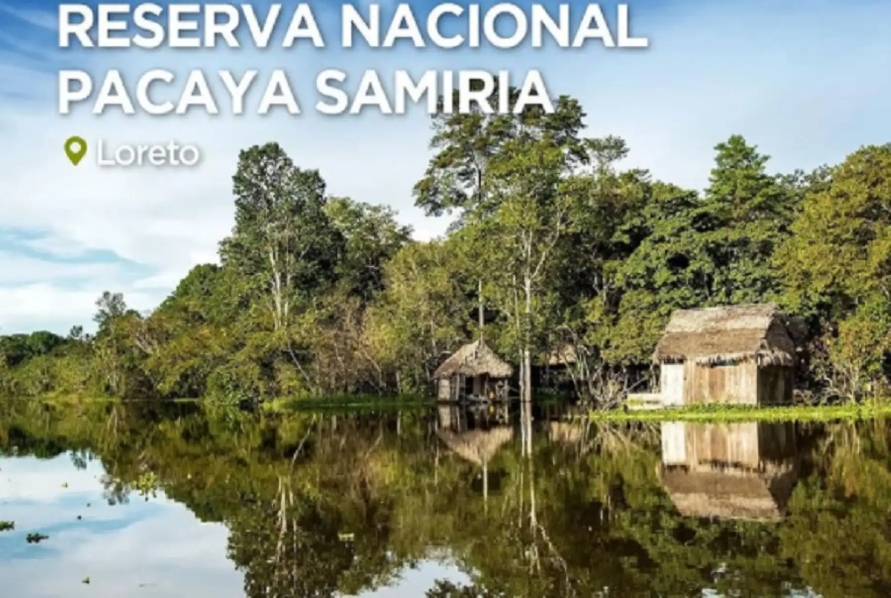 La Reserva Nacional Tambopata es uno de los nueve destinos turísticos del Perú que han sido considerados entre los 100 destinos más sostenibles del planeta por la organización internacional Green Destinations. Se trata de un reconocimiento mundial que distingue a los lugares turísticos más respetuosos con el ecosistema y un mínimo impacto sobre el ambiente y la cultura local. Foto: Mincetur