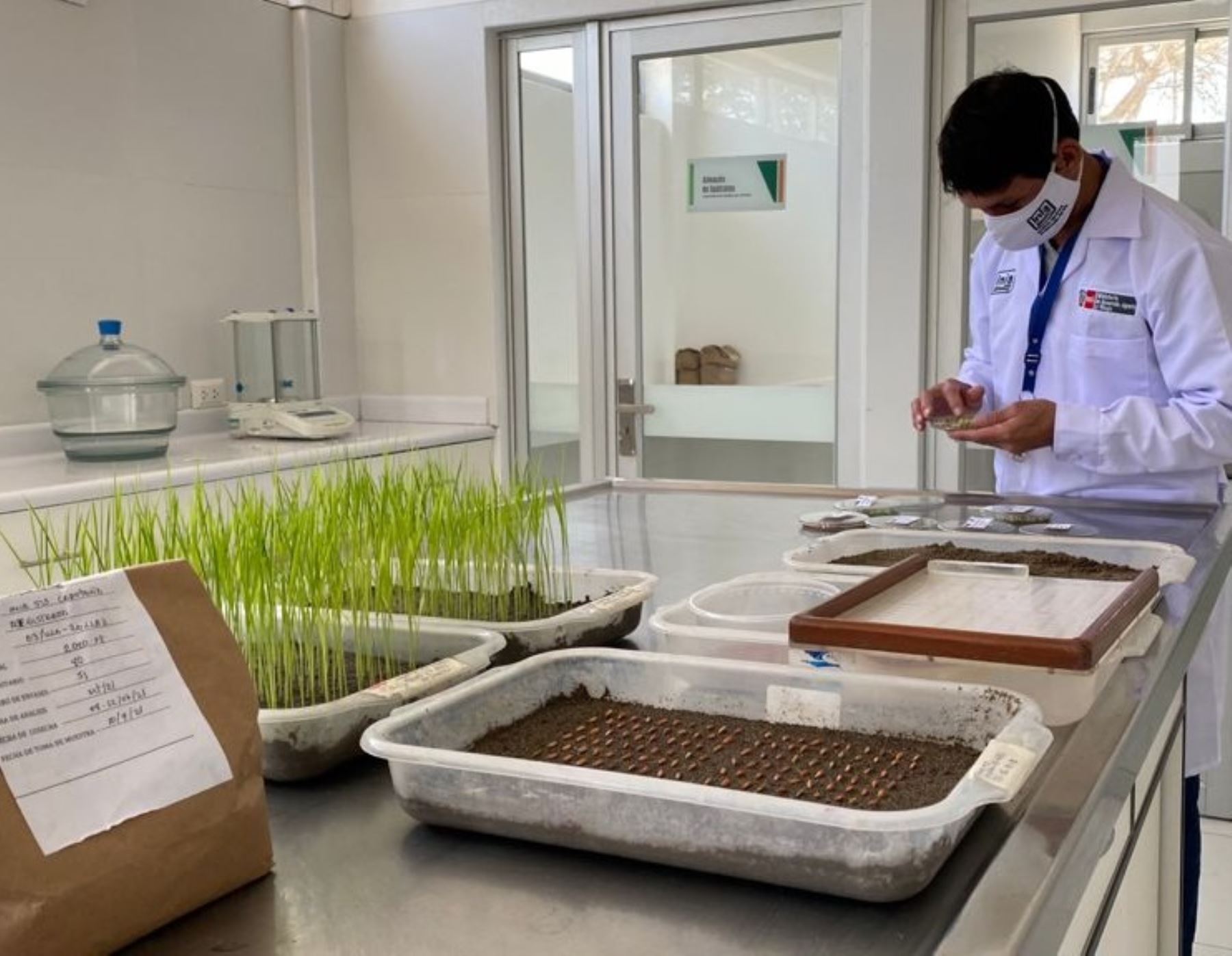 El INIA implementó un moderno laboratorio en Lambayeque para generar semillas certificadas y biofertilizantes que favorecerán al agricultor. ANDINA/Difusión