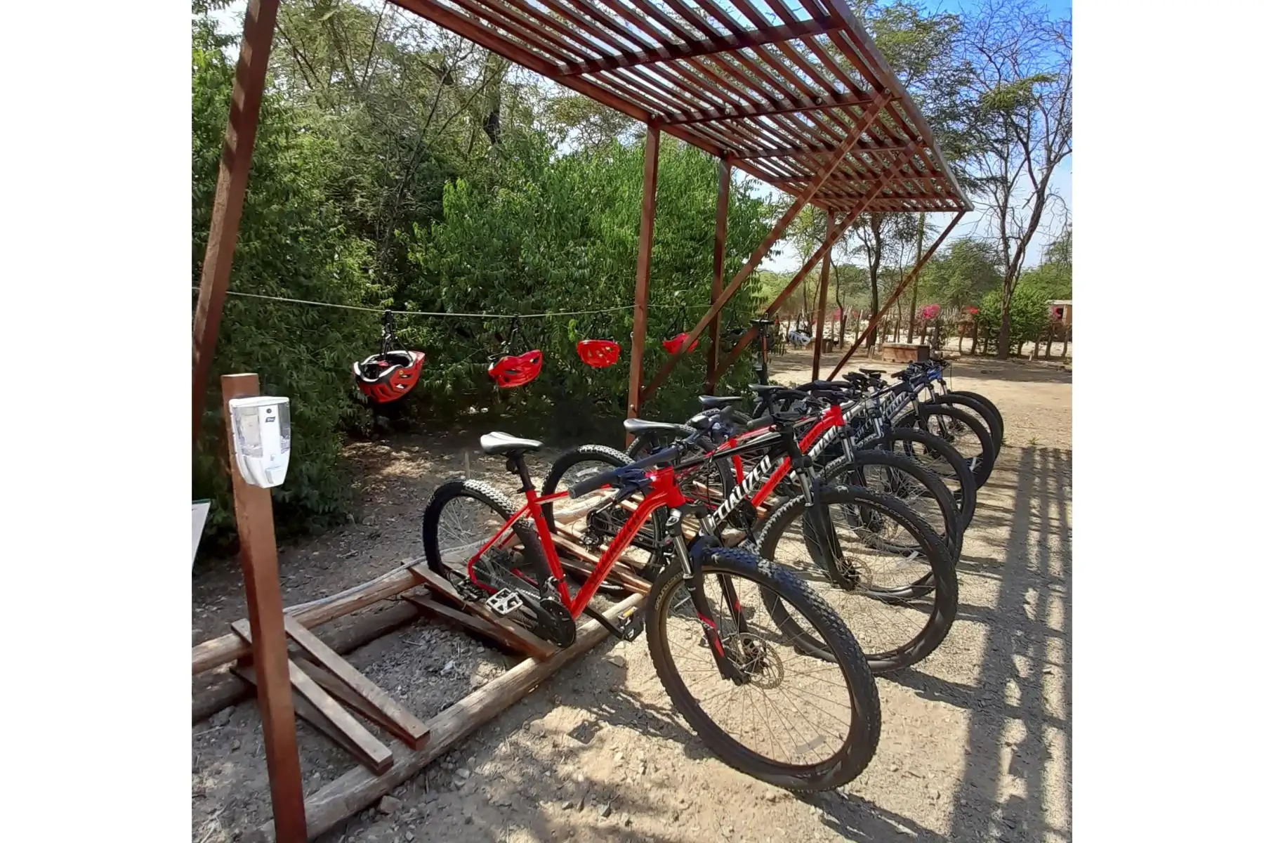 Bajo el nombre “Bici Tour & Sunset Picnic”, este proyecto turístico busca brindar el servicio de recorrido en bicicleta de montaña Specialized Rockhopper 29 por una ruta establecida y debidamente demarcada de 17 kilómetros, que abarcan el Bosque de Pómac y el complejo arqueológico Sicán, aptos para toda la familia. Foto: Sernanp