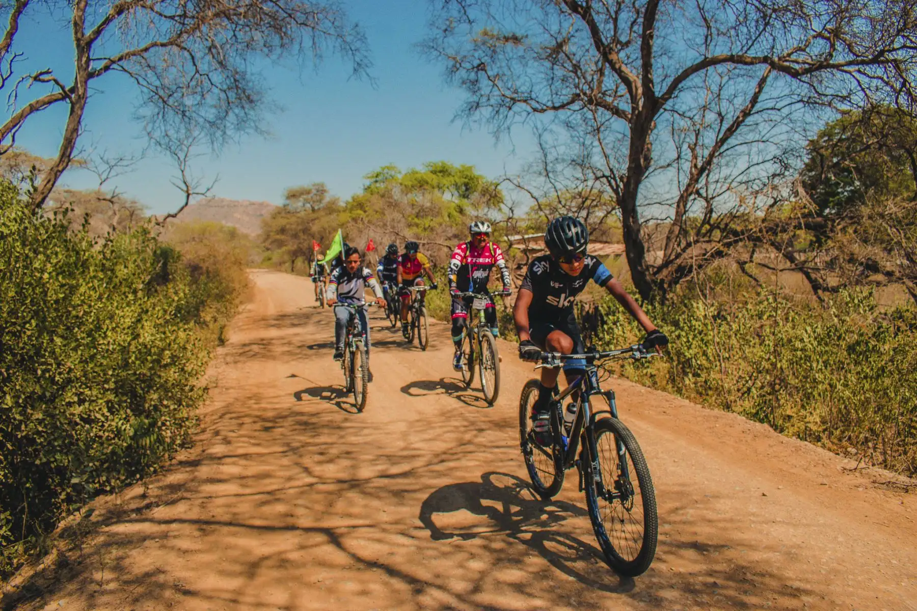 Descubre el mágico encanto de los atractivos turísticos de Lambayeque, como el Santuario Histórico Bosque de Pómac, que se puede recorrer en bicicleta.  ANDINA/Difusión