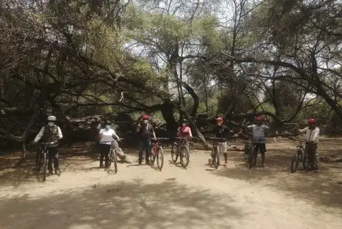 Las áreas naturales protegidas cuentan con protocolo sanitario que garantiza una visita segura frente al covid-19. ANDINA/Difusión