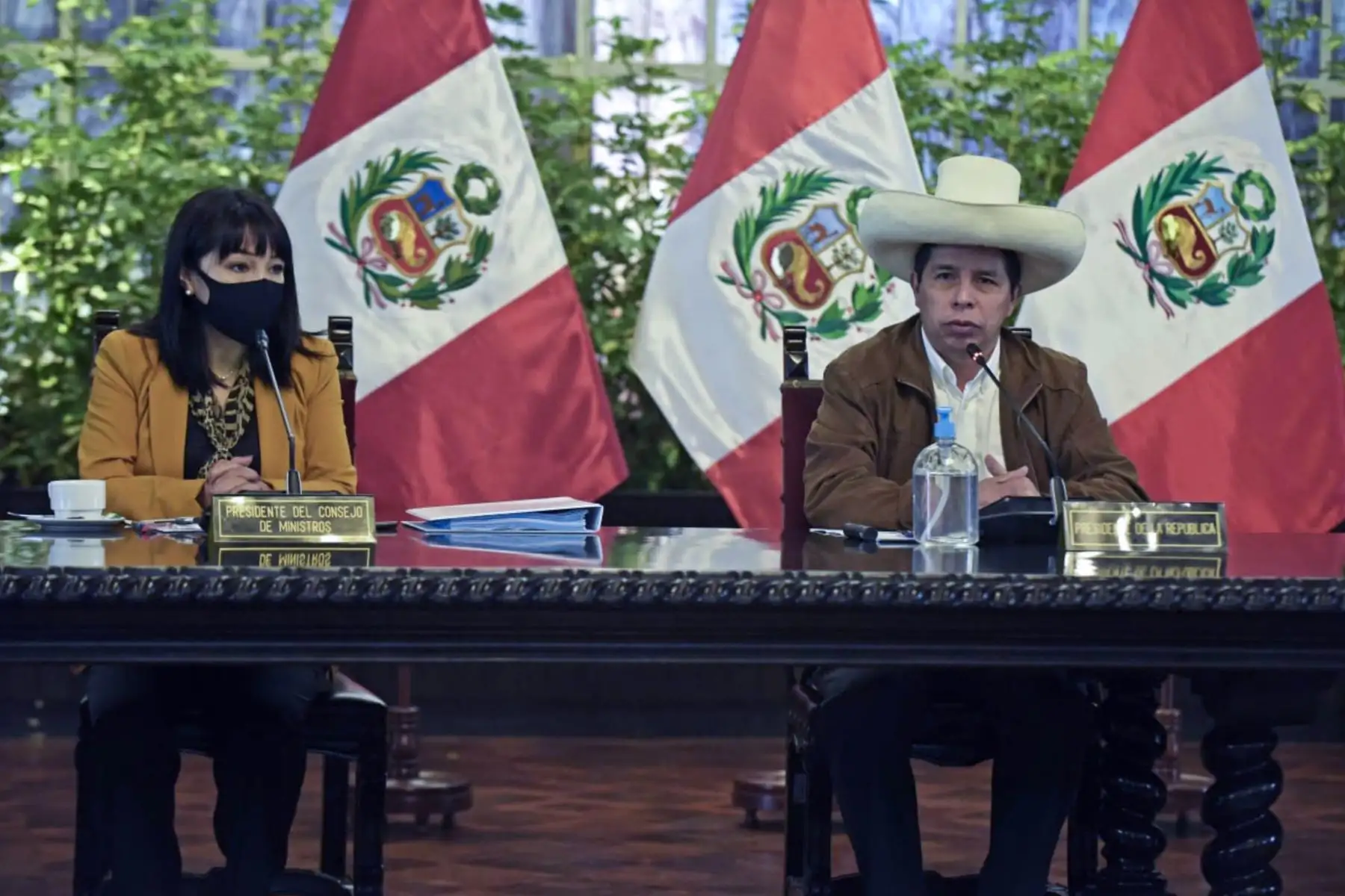 Foto: ANDINA/Prensa Presidencia.
